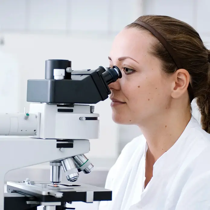 Eine Mitarbeiterin der Pathologie untersucht Gewebeproben unter dem Mikroskop.