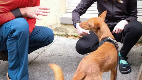 Das Foto zeigt den Hundetrainer Oliver Ludwig im Gespräch mit einer jungen Patientin. Sie darf dem Mischlingshund erste Kommandos geben. 