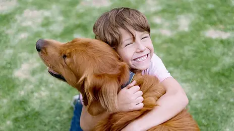 Das Symboldbild zeigt einen etwa 5-jährigen Jungen, der einen Hund kuschelt. Sie befinden sich auf einer Wiese.