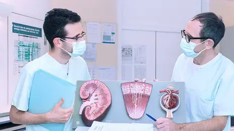 Zwei Experten der Nephrologie beraten sich.