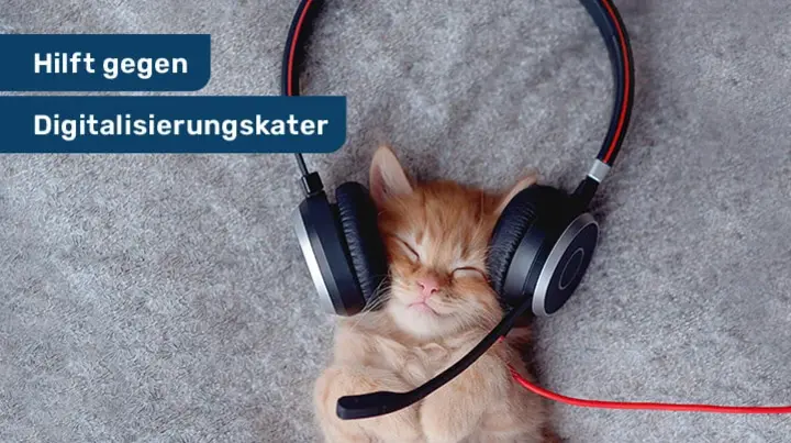 Eine Katze hat Kopfhörer auf. 