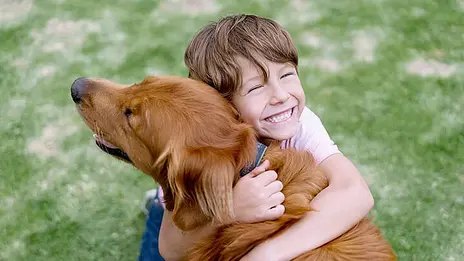 Das Symboldbild zeigt einen etwa 5-jährigen Jungen, der einen Hund kuschelt. Sie befinden sich auf einer Wiese.
