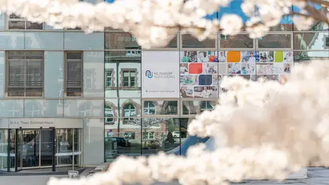 Die Kirschblumen blühen am Campus Nord. 