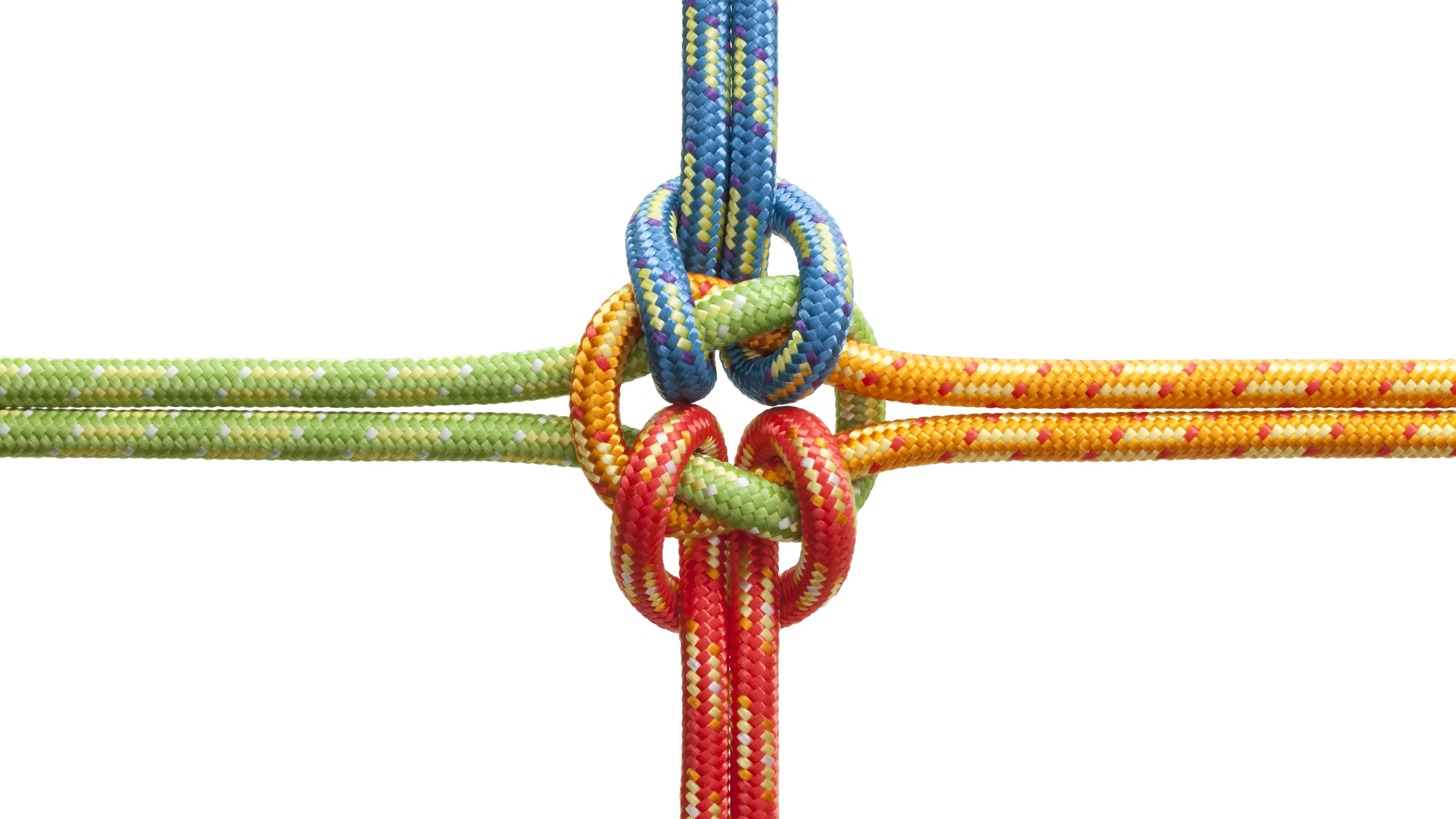Das Symbolbild zeigt vier verschieden farbige Seile, die in der Mitte zu einem Knoten zusammenlaufen. 